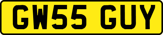 GW55GUY