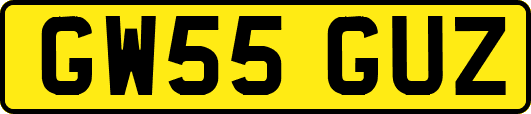 GW55GUZ