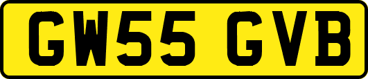 GW55GVB