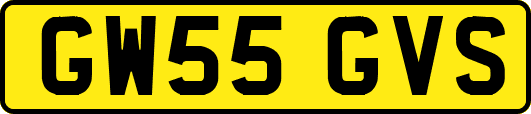 GW55GVS