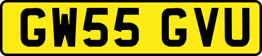 GW55GVU
