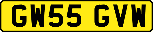 GW55GVW