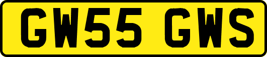 GW55GWS
