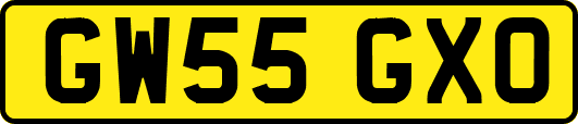 GW55GXO
