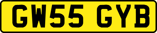 GW55GYB