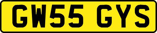 GW55GYS