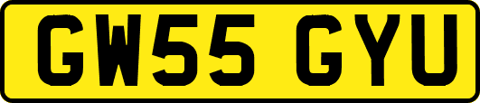 GW55GYU