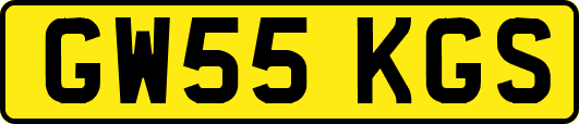 GW55KGS