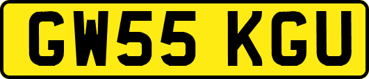 GW55KGU