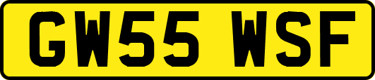 GW55WSF