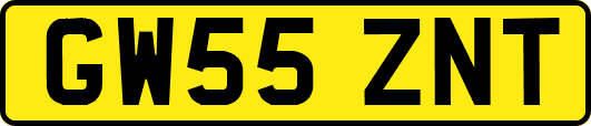 GW55ZNT