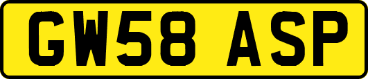 GW58ASP