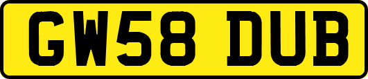 GW58DUB