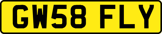 GW58FLY