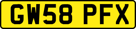 GW58PFX