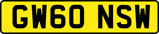 GW60NSW
