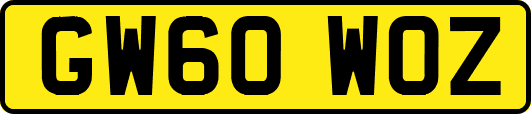 GW60WOZ