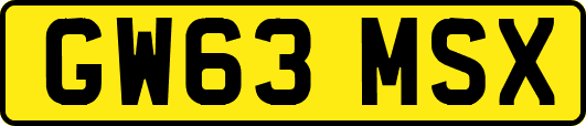 GW63MSX