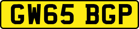 GW65BGP