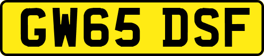 GW65DSF