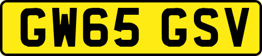 GW65GSV