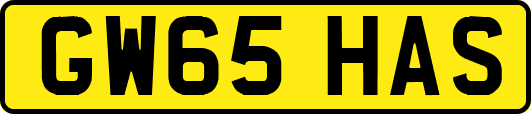 GW65HAS