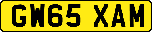 GW65XAM