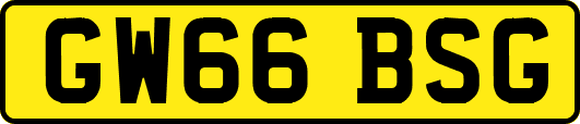 GW66BSG