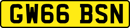 GW66BSN