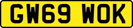 GW69WOK