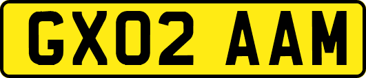 GX02AAM