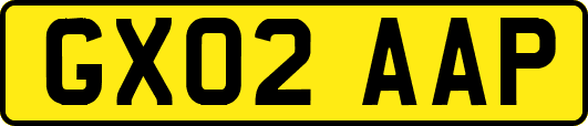 GX02AAP