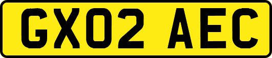 GX02AEC