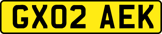 GX02AEK