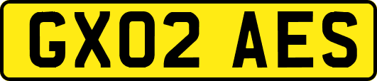 GX02AES