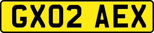 GX02AEX