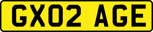 GX02AGE