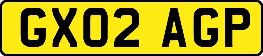 GX02AGP