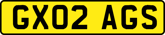 GX02AGS
