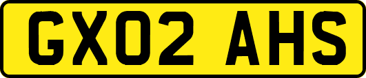 GX02AHS