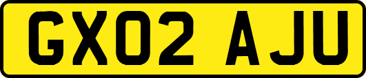 GX02AJU