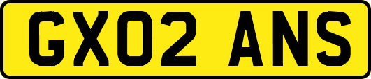 GX02ANS