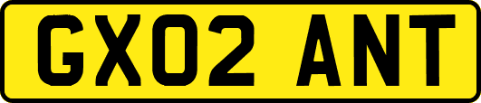 GX02ANT