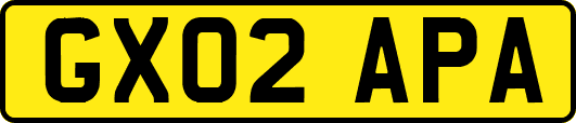 GX02APA