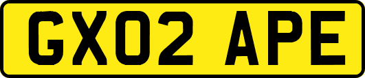 GX02APE