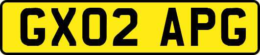 GX02APG
