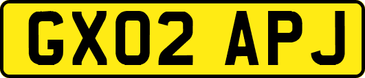 GX02APJ