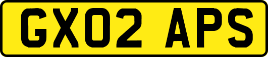 GX02APS