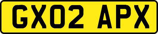 GX02APX