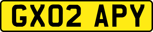 GX02APY